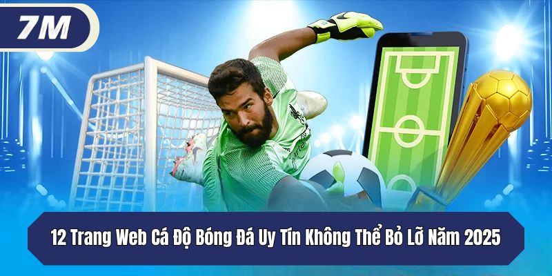 12 Trang Web Cá Độ Bóng Đá Uy Tín Không Thể Bỏ Lỡ Năm 2025