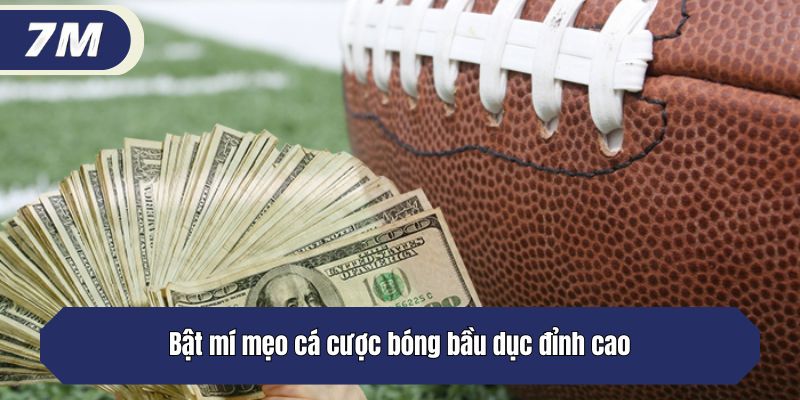 Bật mí mẹo cá cược bóng bầu dục đỉnh cao