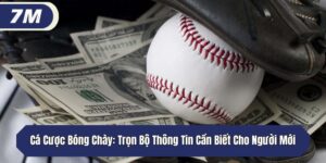 Cá Cược Bóng Chày: Trọn Bộ Thông Tin Cần Biết Cho Người Mới