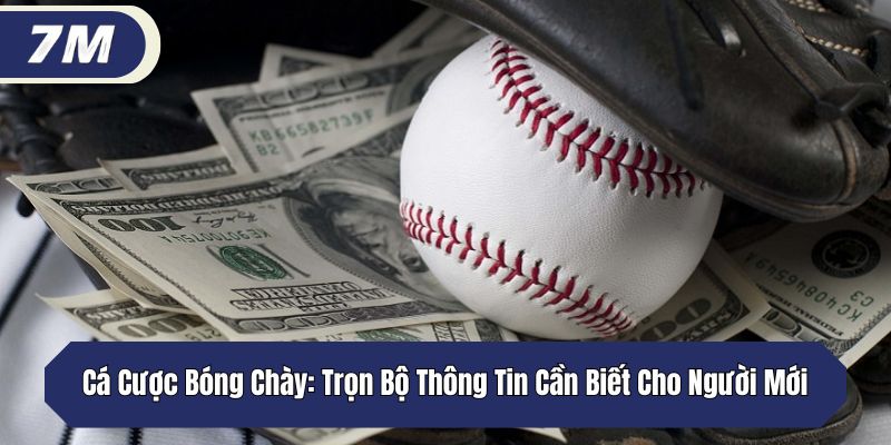 Cá Cược Bóng Chày: Trọn Bộ Thông Tin Cần Biết Cho Người Mới