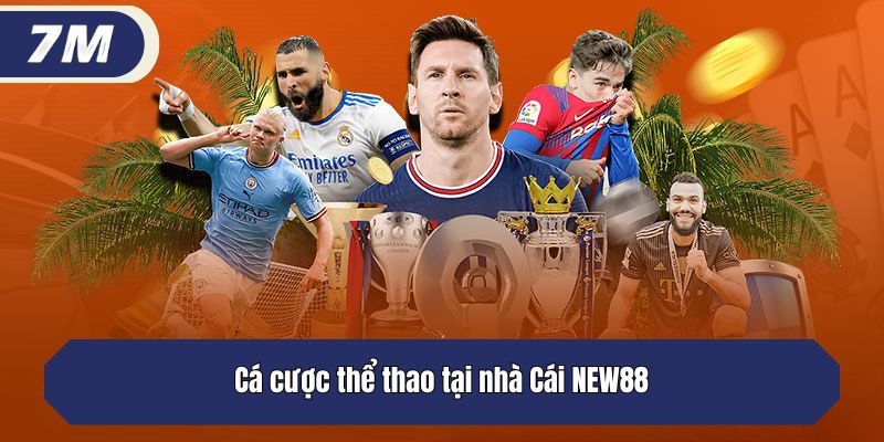 Cá cược thể thao tại nhà Cái NEW88