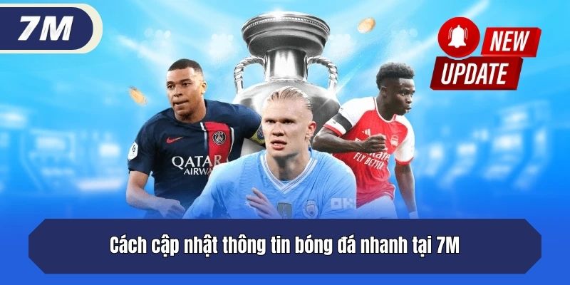 Cách cập nhật thông tin bóng đá nhanh tại 7M