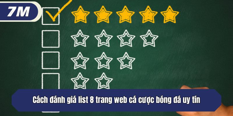 List 8 Trang Web Cá Cược Bóng Đá Uy Tín Hàng Đầu 2025