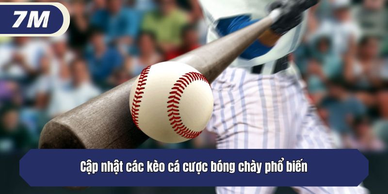        Cập nhật các kèo cá cược bóng chày phổ biến
