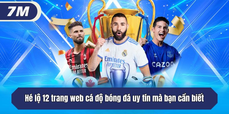 12 trang web cá độ bóng đá uy tín mà bạn cần biết