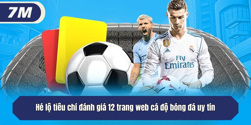 Hé lộ tiêu chí đánh giá 12 trang web cá độ bóng đá uy tín