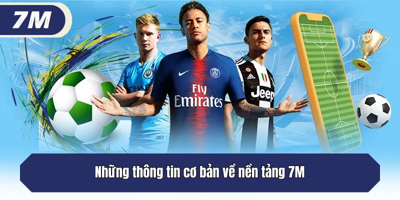 Những thông tin cơ bản về nền tảng 7M