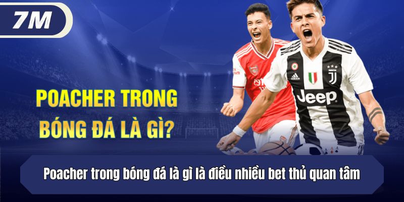 Poacher trong bóng đá là gì là điều nhiều bet thủ quan tâm